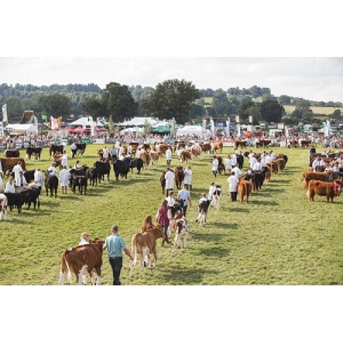 Accessibility at Moreton Show